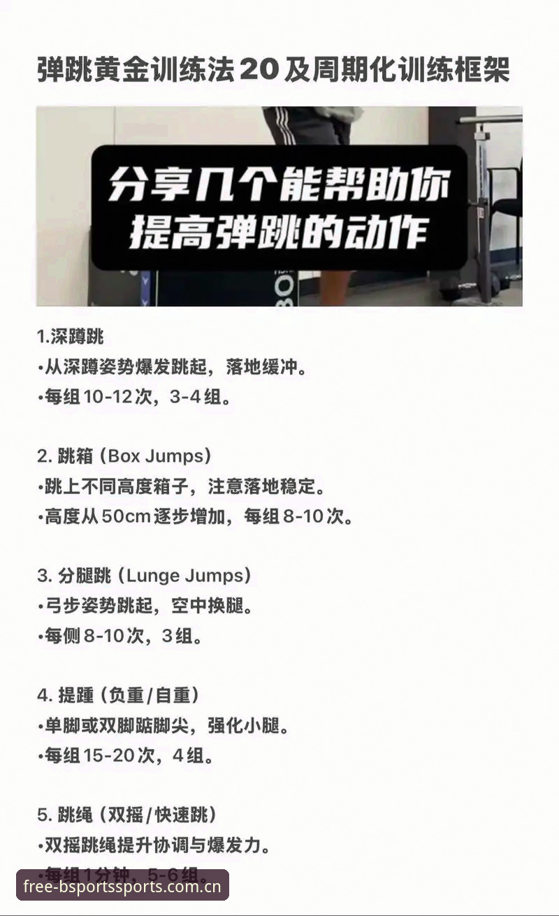 B体育沉浸体验入门教程：从零开始掌握竞技体育平台的操作与安装